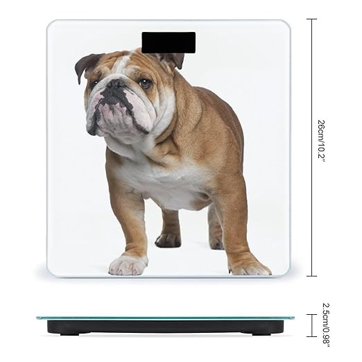 English-Bulldog Scale for Body Weight Anti-Slip Sturdy Tempered Glass Weighing Machine Highly Digital Accurate Bright LCD Bathroom Scale for Household Gift