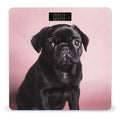 Cute Black Pug Weight Scale Large Bathroom Scales Digital Weight with Bright LED Display Non Slip Automatic Weighing Scale Fashion Weighing Machine for Body