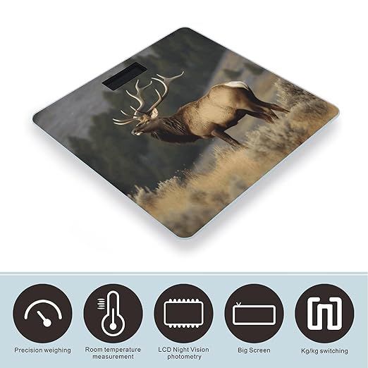 Bull Elk Scale for Body Weight Safe Rounded Corners Tempered Glass Digital Bathroom Scale LED Display 400lb Capacity Weight Scales with High Precision Sensors