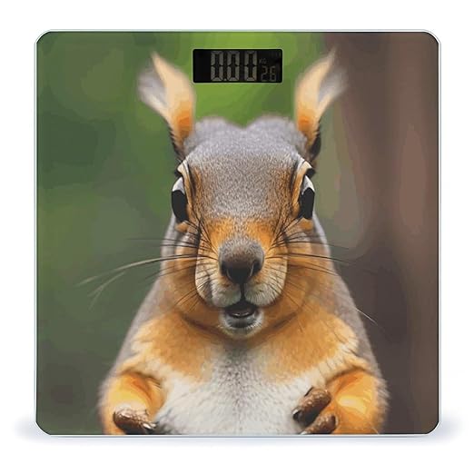 Squirrel Funny Animal Smart Scale for Body Weight Accurate Bathroom Scale with LED Display Digital Weight Scales Weighing Machine High Precision Scales for Bath Home