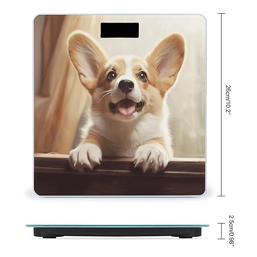 Cute Corgi Weight Scale for Body Weight Digital Bathroom Scale High Capacity Accurate Digital Weighing Scales and Easy-to-Read on Backlit LCD Display Scales