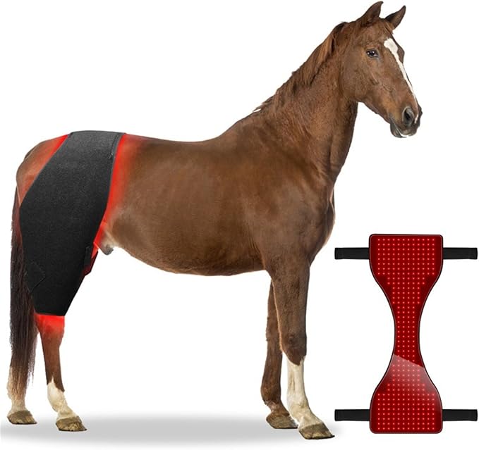 Horse Use Red Light Therapy Pad 660nm 850nm Red Infrared Belt for Horse Buttocks Abdomen Back Front Legs and Hind Legs Muscle Recovery