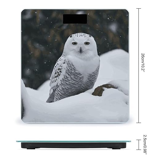 Snow Owl Scale with LCD Easy-to-Read Anti-Slip Weight Digital Bathroom Scale Precision Weighing Scales Sturdy Tempered Glass Body Weight Scales for Daily Use