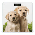Funny Labrador Puppy Dog Weight Scale Large Bathroom Scales Digital Weight with Bright LED Display Non Slip Automatic Weighing Scale Fashion Weighing Machine for Body