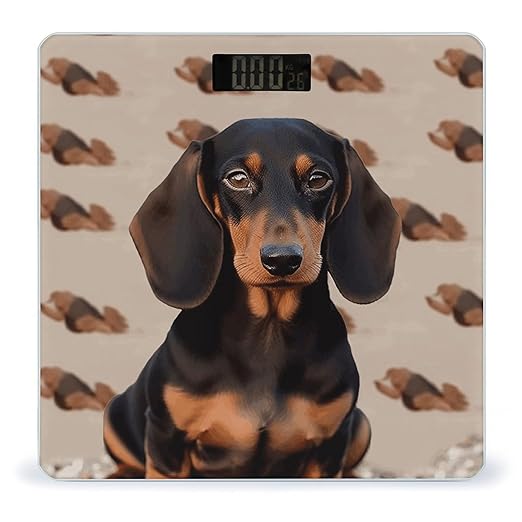 Dachshund Dog Weight Scale Large Bathroom Scales Digital Weight with Bright LED Display Non Slip Automatic Weighing Scale Fashion Weighing Machine for Body
