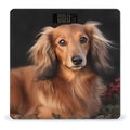Digital Bathroom Scale for Body Weight Scale with Bright LCD Display High Accuracy Step-On Technology Auto On/Off Long Haired Dachshund Digital Scales 400 Lbs /180kg