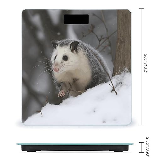 Opossum in SnowScale for Body Weight with LCD High Precision Weighing Scales Fashion Sturdy Tempered Glass Weight Scales Easy-to-Read Digital Bathroom Scale for Daily 400lb