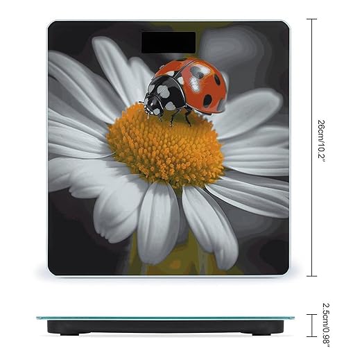 Ladybug Daisy Bathroom Scale Ultra-Bright Liquid Crystal Screen Weight Scale Accurate Bathroom Body Scales for Body Weight Bathroom Pet Home Bedroom Gift-Giving