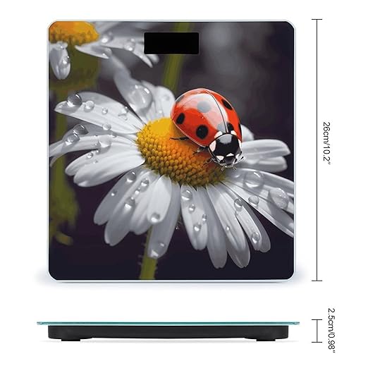 Ladybug on Daisy FlowerScale for Body Weight with LCD High Precision Weighing Scales Fashion Sturdy Tempered Glass Weight Scales Easy-to-Read Digital Bathroom Scale for Daily 400lb