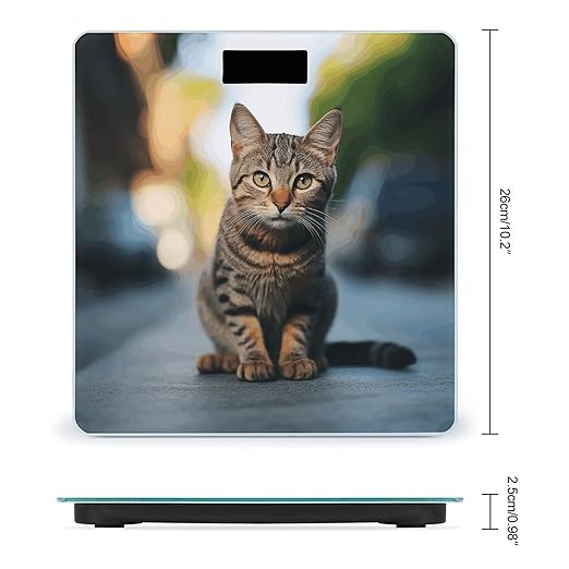 Brown Tabby Kitten Bathroom Scale for Body Weight Bathroom Weighing Scale with Backlit LCD Display Highly Accurate Measures Weight Up to 180kg
