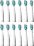 Electric Toothbrushes Replacement Heads Toothbrush Heads Sets for FW-507 FW-508 FW-917 Head(FW01(3pack-12pcs))