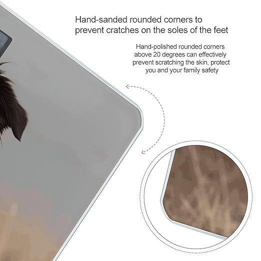 Border Collie Scale for Body Weight Accurate Digital Bathroom Scale Toughened Glass High Precision Scales Smart Weight Scales with Large LCD Backlight Display Weighing Machine