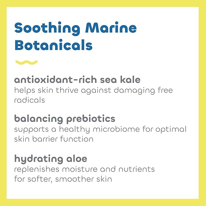 Seaweed Bath Co. Everyday Mineral SPF 40 Broad Spectrum Sunscreen Lotion 3.4 Ounce Sustainably Harvested Seaweed Sea Kale Prebiotics