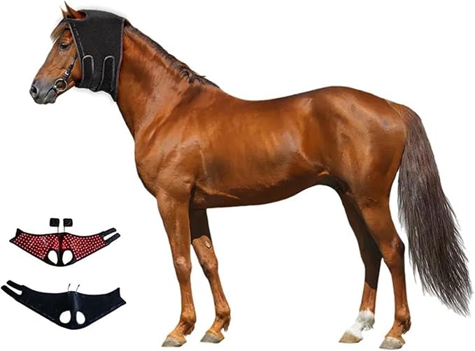 Equine Care Equipment Red Light Therapy for Horse Head Red and Near Infrared LED Rechargeable