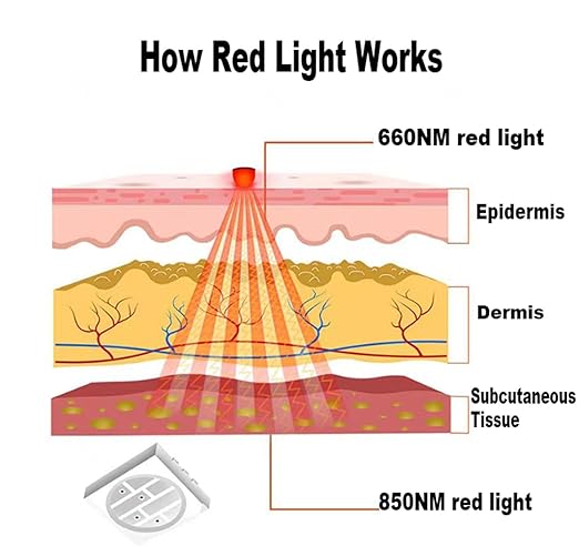 Red Light Therapy Belt for Body Pain WaistInfrared Light Therapy Device with Timer and Remotefor Back Waist Muscle Pain Relief Improve Joint Inflammation