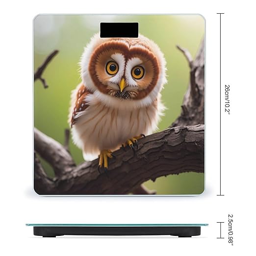 Real Cute Owls Smart Scale for Body Weight Accurate Bathroom Scale with LED Display Digital Weight Scales Weighing Machine High Precision Scales for Bath Home