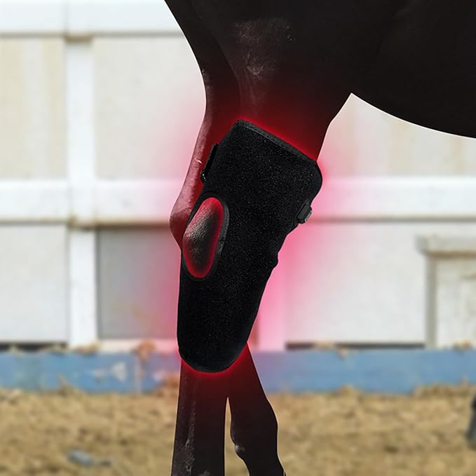 Red Light Therapy for Horses Hind Knee 660nm 850nm Infra-Red Wrap 15mins Auto Timer for Equine Pain Relief Muscle Recovery Right