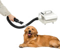 TFCFL Pet Grooming Hair Dryer 3600w Adjustable Temperature &amp Speed Dog Blower with 2 Nozzles Pet Dryer with Flexible Hose Safe Mesh Design for Home Pet Care Pet Shops Pet Beauty Shops ﻿ (Silv