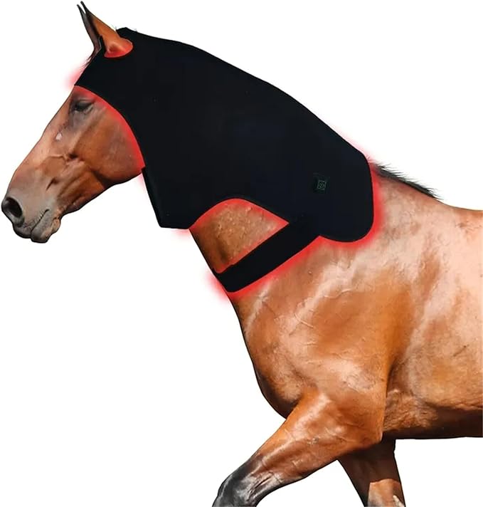 Red Light Therapy for Horses Head 660nm 850nm Wearable Near Infrared Light Cap Rechargeable 15 mins Timer for Equine Head Pain Relief M