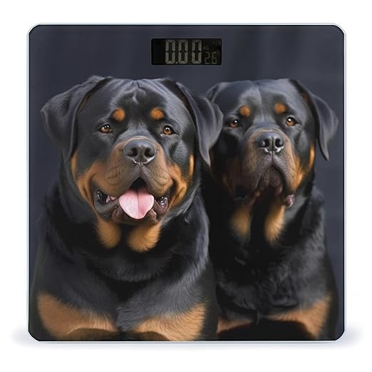 Digital Bathroom Scale for Body Weight Scale with Bright LCD Display High Accuracy Step-On Technology Auto On/Off Rottweiler Wallpaper Digital Scales 400 Lbs /180kg