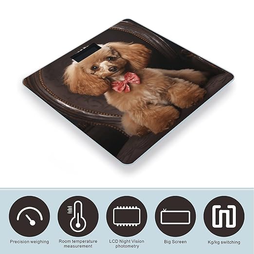 Poodle Scale for Body Weight Anti-Slip Tempered Glass Digital Bathroom Scales Clear LCD Display Weighing Scale Safe Rounded Corners Smart Scales