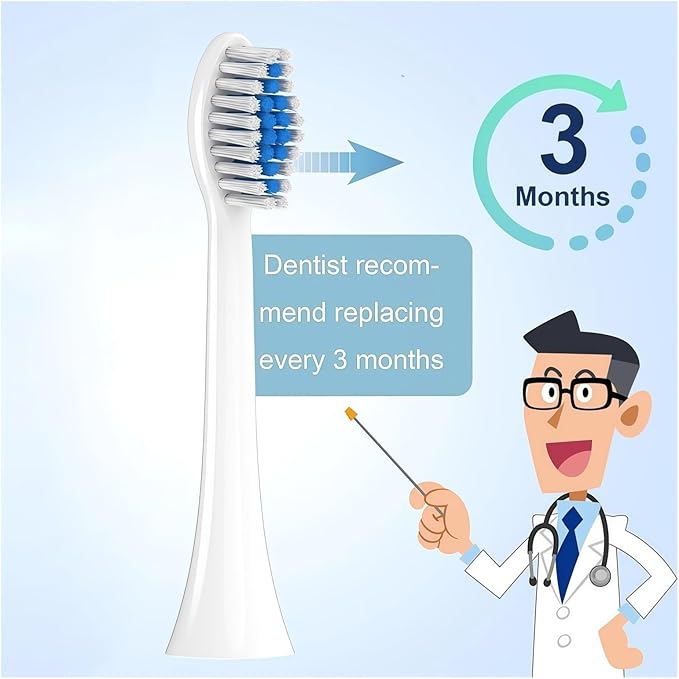 Replacement Brush Heads Soft Brush Heads Compatible with Philips 1100 2100 Electric Toothbrush Replacement Toothbrushes Head Refill(White-12 Pcs)