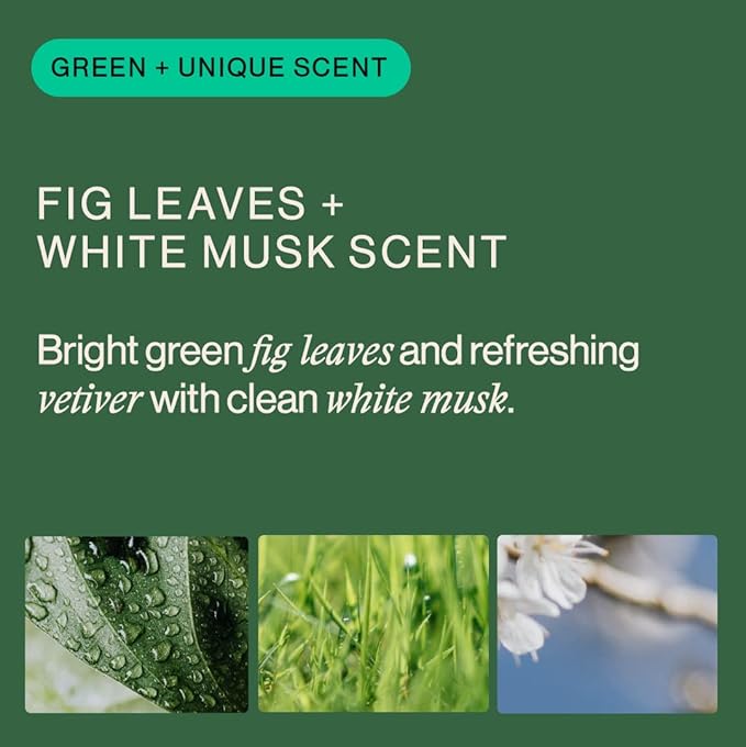 OffCourt - Fig Leaves + White Musk Scent Deodorant Body Spray and Fragrance Bundle