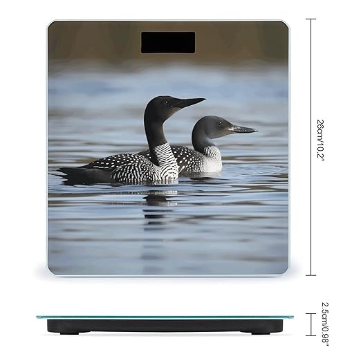 Loon Birds Scale for Body Weight High Precision Digital Weight Scales with LCD Display Anti-Slip Sturdy Slim Tempered Glass Bathroom Scale for Home Use