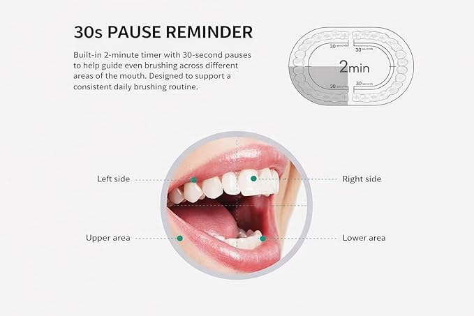 Electric Toothbrush for Adults Rechargeable Cordless Power Toothbrush with 6 Modes 4 Brush Heads 2-Min Timer Electric Tooth Brush Adult Black White Pink (White 1Handle 4Heads)