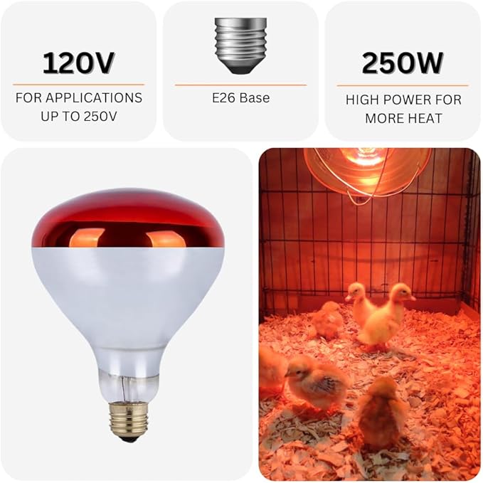 Shadid 250 Watt Heat Lamp R40 Red Flood Light Bulb Infrared Heat Lamp for Chickens Livestock Food Service Heat Therapy Reflector 24 Pack 15251-RD