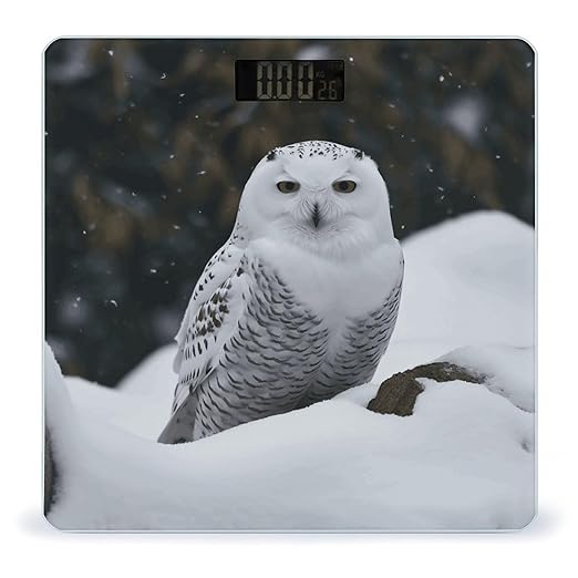 Snow Owl Bathroom Scale Large LCD Backlight Display Digital Scale Rounded Corners Body Scales Automatic Power On/Off Bathroom Scales for Home Bedrooms