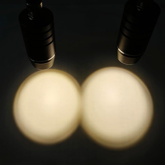 Light Head (Warm White)