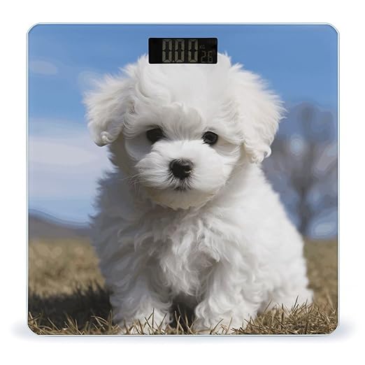 Bichon Frise Dog Scale for Body Weight High Precision Digital Weight Scales with LCD Display Anti-Slip Sturdy Slim Tempered Glass Bathroom Scale for Home Use