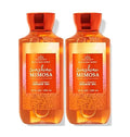 Bath &amp Body Works Sunshine Mimosa Shower Gel Gift Sets For Women 2 Pack (Sunshine Mimosa) 10.0 fluid_ounces 20.0 Ounce