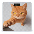 Cartoon Cat Orange Smart Scale for Body Weight Digital Bathroom Scale Toughened Glass Weight Scale with Large LCD Backlight Display High Precision Scales Weighing Machine