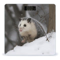 Opossum in SnowScale for Body Weight with LCD High Precision Weighing Scales Fashion Sturdy Tempered Glass Weight Scales Easy-to-Read Digital Bathroom Scale for Daily 400lb