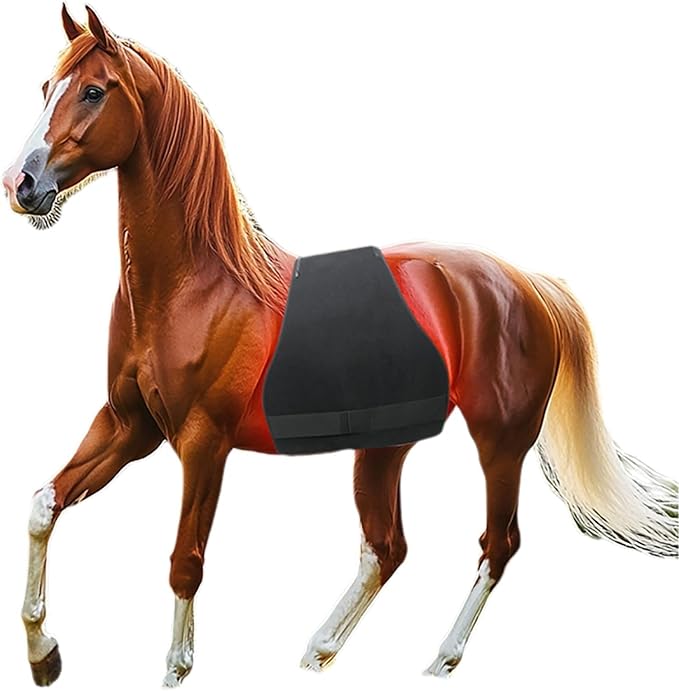 Horse Red Light Therapy Pad for Back and Abdomen Injury Recovery Fracture Healing Pain Relief
