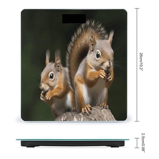 Squirrel Animal Scale for Body Weight Smart Scales Digital Bathroom Scale High Precision Weighing Scales with Large Display Weighing Machine for People