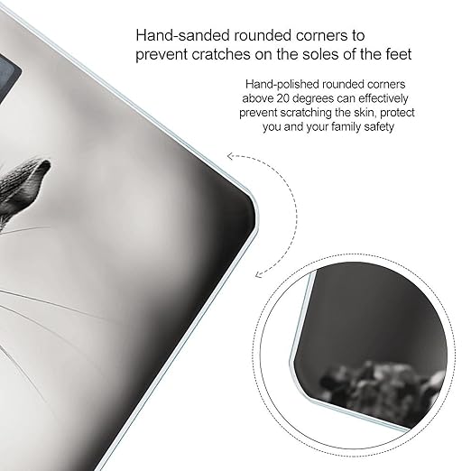 Light Gray Squirrel Bathroom Scale for Body Weight LCD Display Digital Bathroom Scale Tempered Glass Bathroom Weight Scales Fashion Smart Scales for Home Bedroom 400 Lb