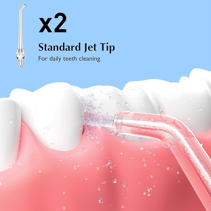 Water Dental Flosser Teeth Pick &amp Water Dental Flosser Tip Replacement Heads