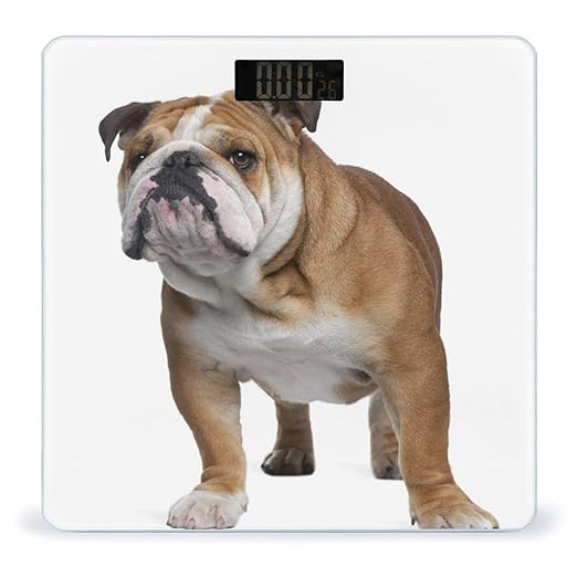 English-Bulldog Scale for Body Weight Anti-Slip Sturdy Tempered Glass Weighing Machine Highly Digital Accurate Bright LCD Bathroom Scale for Household Gift