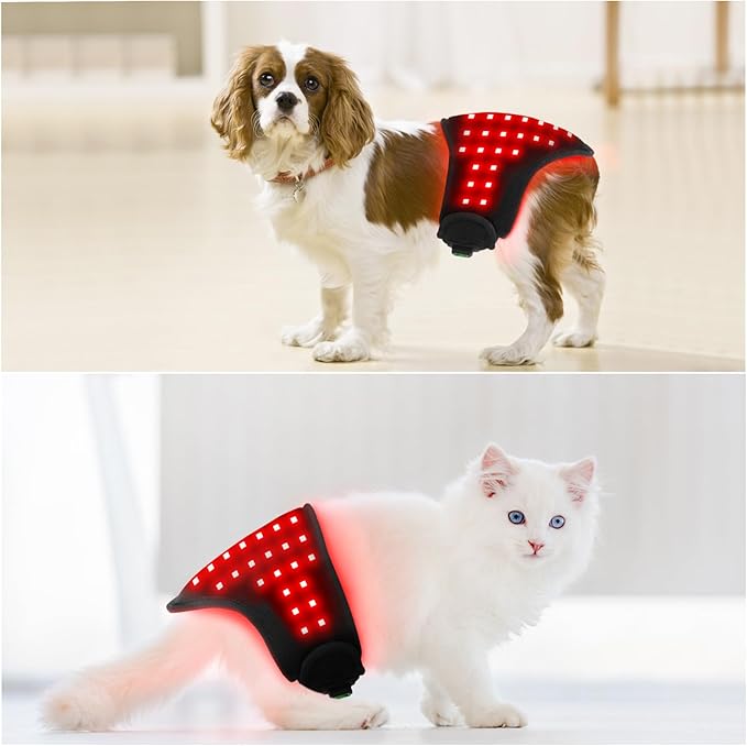 Red Light Therapy for Dog Belly and Ass Portable and Wearable for Small Animals Tissue Repair Relieve Joint &amp Back Pain Dogs Cats Pets Injuries Recovery