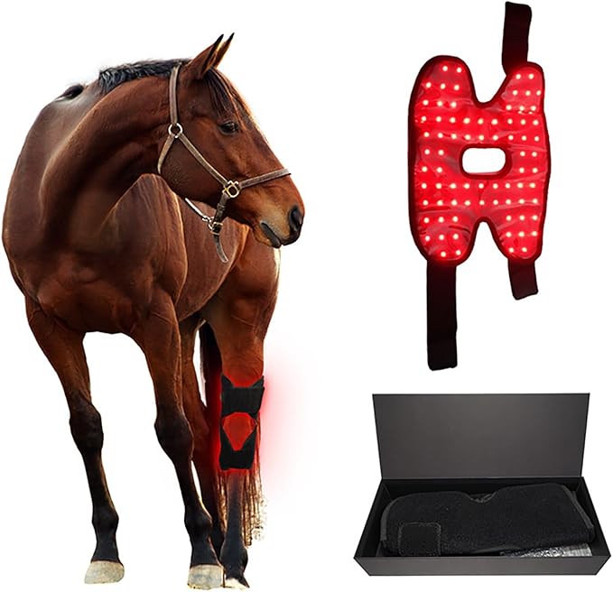 Red Light Therapy for Horses Hind Knee 660nm 850nm Infra-Red Wrap 15mins Auto Timer for Equine Pain Relief Muscle Recovery Right