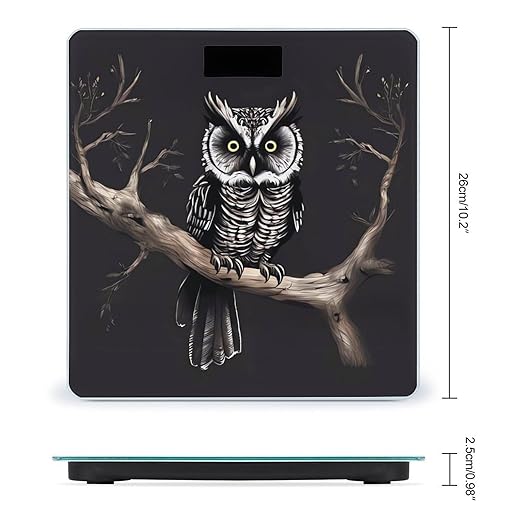 Late Night OwlScale for Body Weight with LCD High Precision Weighing Scales Fashion Sturdy Tempered Glass Weight Scales Easy-to-Read Digital Bathroom Scale for Daily 400lb