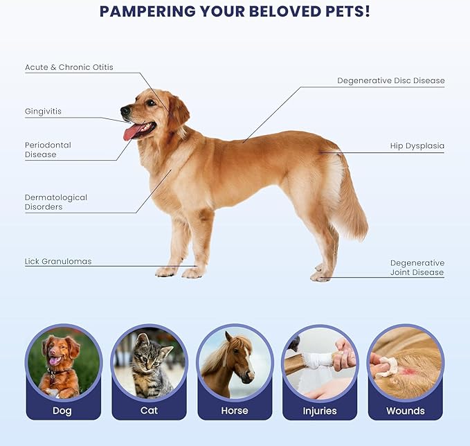 Red Light Therapy Device for Pets/Human Infrared Light Therapy for Joints &amp Muscles Pain Relief Handheld Cold Laser Therapy Device for Face and Body with 2 Wavelenghth (808nm+650nm)