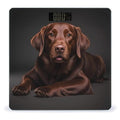 Brown Labrador Retriever Scale for Body Weight Digital Bathroom Scale Toughened Glass High Precision Scales for Body Weight with Large LCD Backlight Display Weight Scales