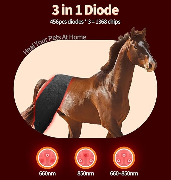 Horse Red Light Therapy Pad for Back and Abdomen Injury Recovery Fracture Healing Pain Relief