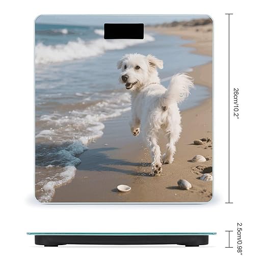 Dog Running on The Beach Weight Scale Cute Bathroom Scale for Body Highly Accurate Digital Weighing Machine for People Compact LCD Display Scales with Sturdy Toughened Glass Scales