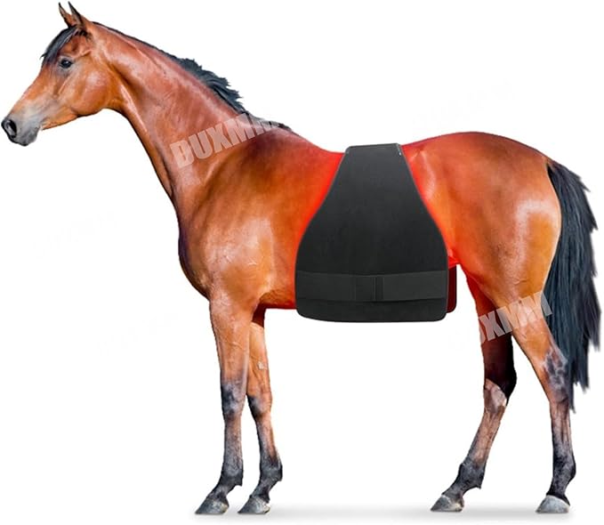 Red Light Therapy DeviceHorse Red Light Therapy EquipmentHorses Red Light Therapy BeltWearable Red Light Therapy Beltsfor Horse Muscle Recovery
