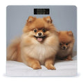 Cute Pomeranian Bathroom Scale Large LCD Backlight Display Digital Scale Rounded Corners Body Scales Automatic Power On/Off Bathroom Scales for Home Bedrooms